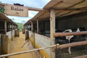baias rancho sao jorge itacare