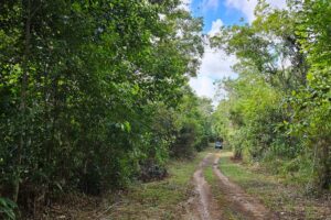 taboquinhas farm road