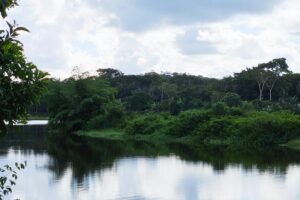 itacare farm preserve rio de contas