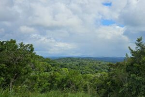 itacare farm preserve atlantic rainforest