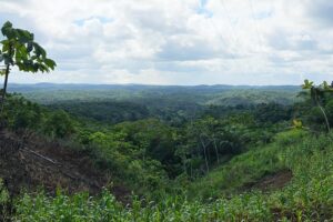 itacare farm preserved land